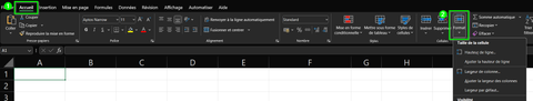 excel colonne format