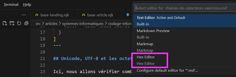 vscode hexeditor